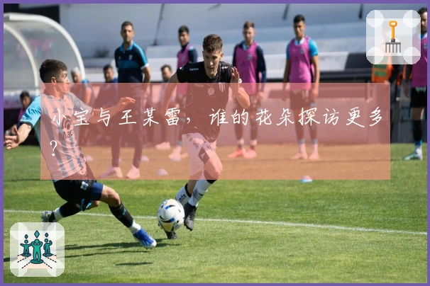 小宝与王某雷，谁的花朵探访更多？