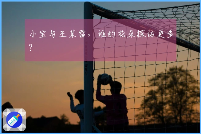 小宝与王某雷，谁的花朵探访更多？